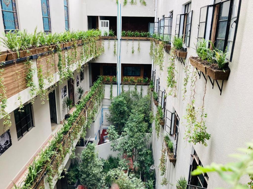 Frontera 49 Roma Norte Hostal Mexico City Exteriör bild